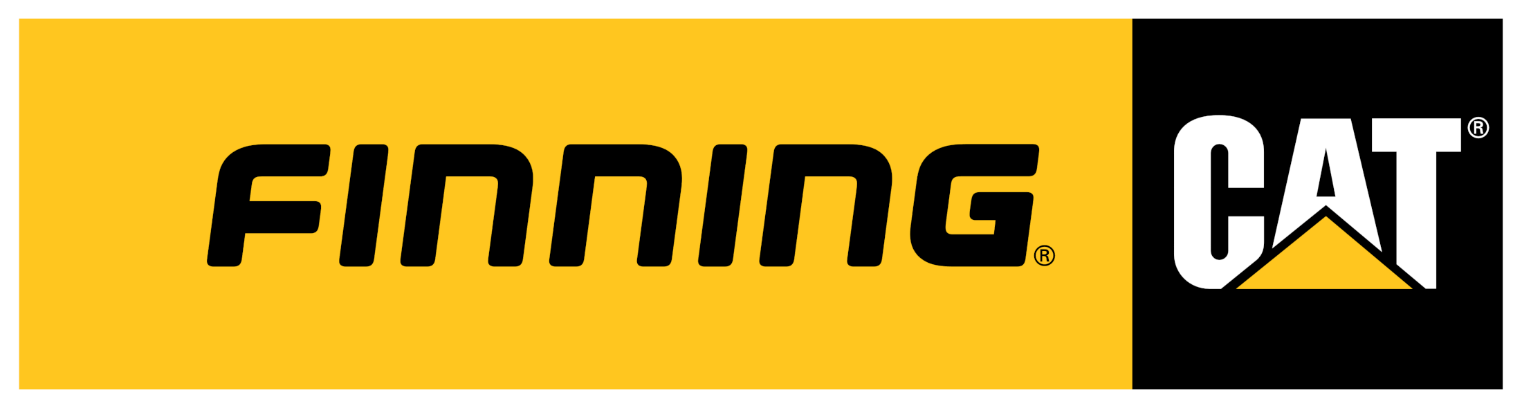 Finning Cat